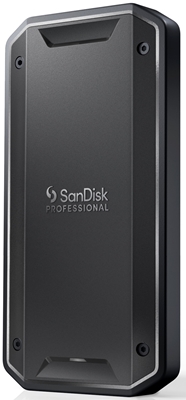 SANDISK PROFESSIONAL - SSD - 0619659195977