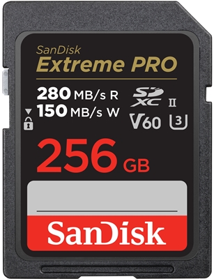 SANDISK - SCHEDE MEMORIA - 0619659202149