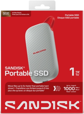 SANDISK - SSD - 0619659237813 SANDISK - SSD - 0619659237813