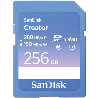 SANDISK - SCHEDE MEMORIA - 0619659216580