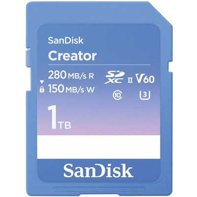 SANDISK - SCHEDE MEMORIA - 0619659216597