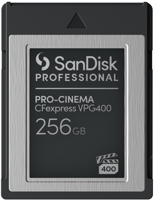 SANDISK PROFESSIONAL - SCHEDE MEMORIA - 0619659184933