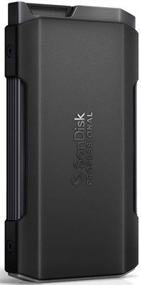 SANDISK PROFESSIONAL - SSD - 0619659198459